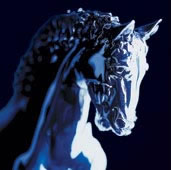 cavallo leonardo blu